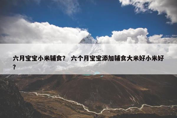 六月宝宝小米辅食？ 六个月宝宝添加辅食大米好小米好？