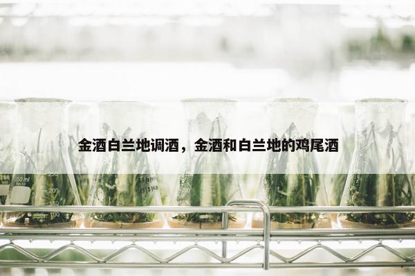 金酒白兰地调酒，金酒和白兰地的鸡尾酒