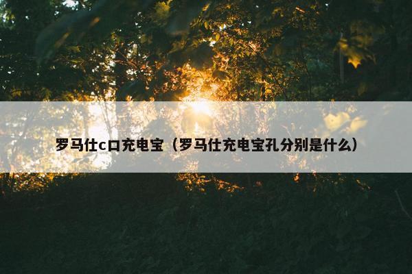 罗马仕c口充电宝（罗马仕充电宝孔分别是什么）