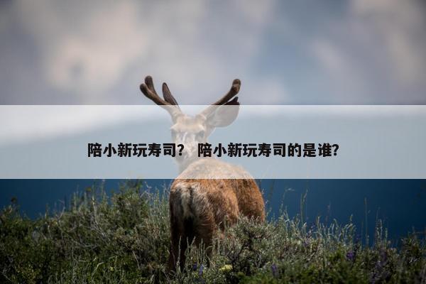 陪小新玩寿司? 陪小新玩寿司的是谁? 陪小新玩寿司? 陪小新玩寿司的是谁?
