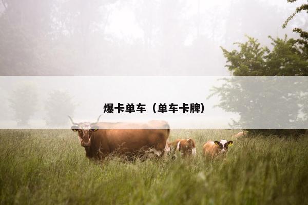 爆卡单车(单车卡牌) 爆卡单车(单车卡牌)