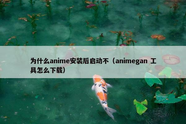 为什么anime安装后启动不（animegan 工具怎么下载）