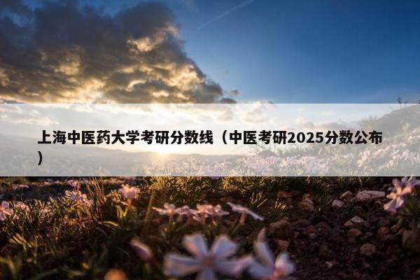 上海中医药大学考研分数线(中医考研2025分数公布) 上海中医药大学考研分数线(中医考研2025分数公布)