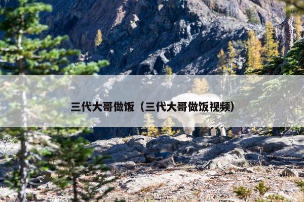 三代大哥做饭（三代大哥做饭视频）