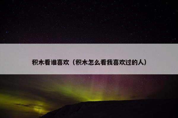 积木看谁喜欢（积木怎么看我喜欢过的人）