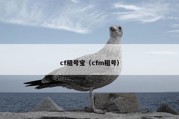 cf租号宝(cfm租号) cf租号宝(cfm租号)