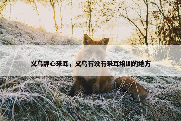 义乌静心采耳,义乌有没有采耳培训的地方 义乌静心采耳,义乌有没有采耳培训的地方