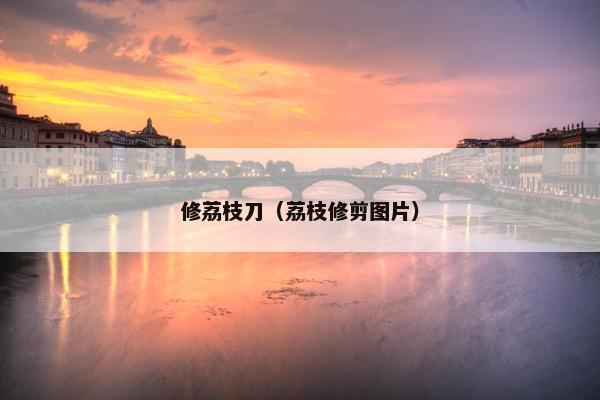 修荔枝刀(荔枝修剪图片) 修荔枝刀(荔枝修剪图片)