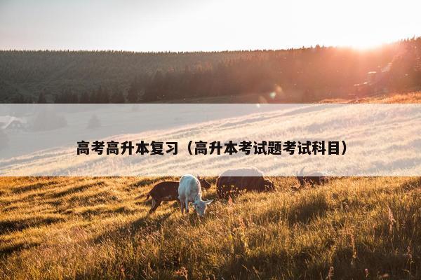 高考高升本复习(高升本考试题考试科目) 高考高升本复习(高升本考试题考试科目)