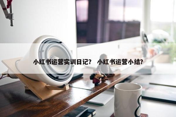 小红书运营实训日记？ 小红书运营小结？