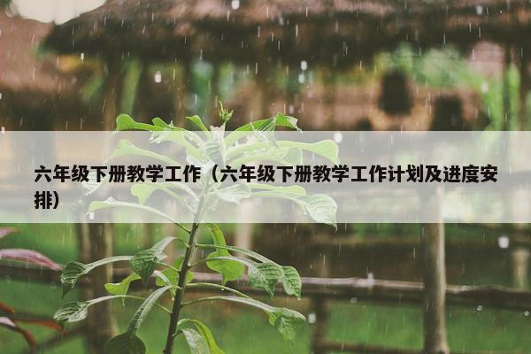 六年级下册教学工作（六年级下册教学工作计划及进度安排）