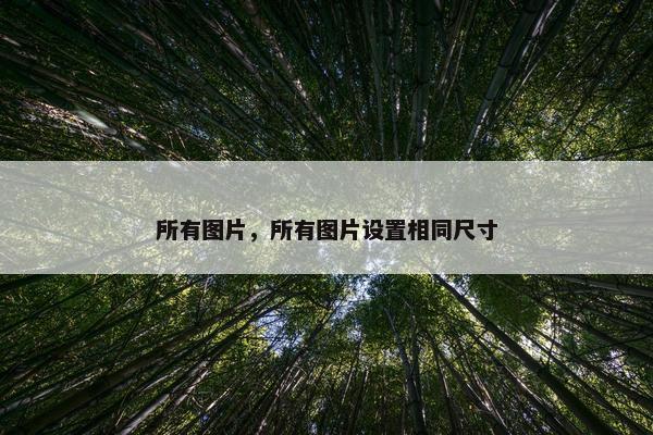 所有图片，所有图片设置相同尺寸