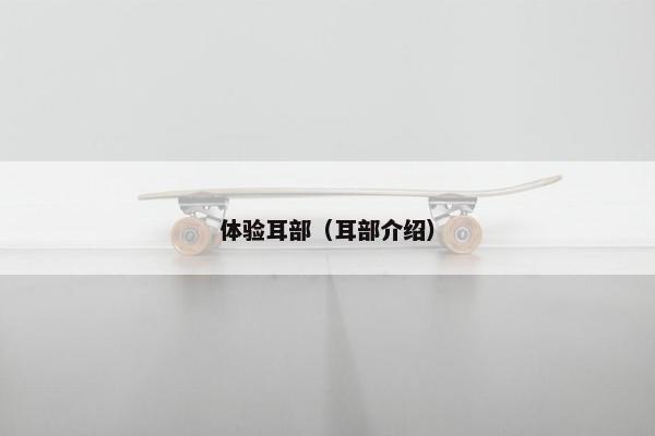 体验耳部（耳部介绍）
