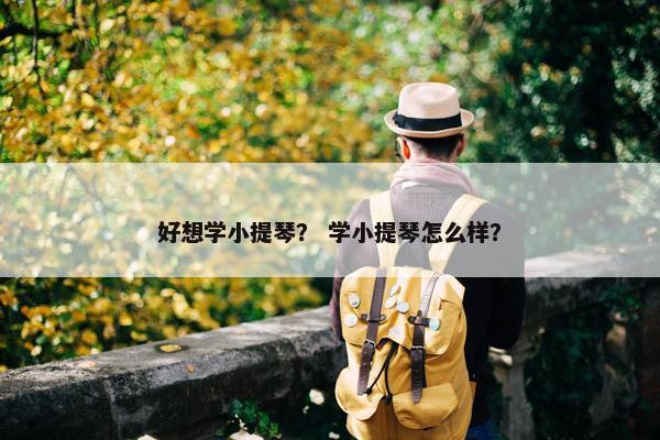 好想学小提琴? 学小提琴怎么样? 好想学小提琴? 学小提琴怎么样?