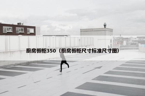 厨房橱柜350（厨房橱柜尺寸标准尺寸图）