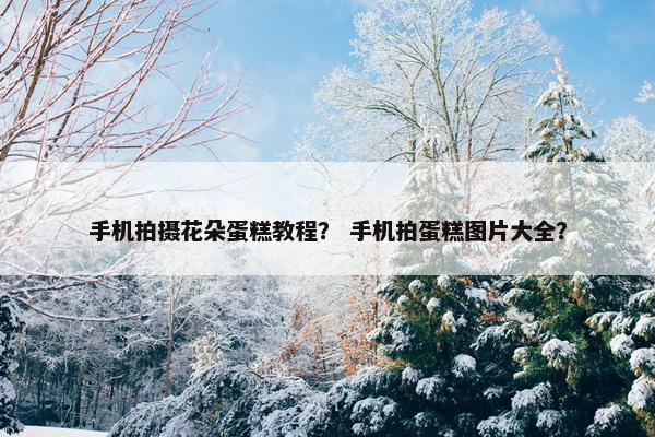 手机拍摄花朵蛋糕教程? 手机拍蛋糕图片大全? 手机拍摄花朵蛋糕教程? 手机拍蛋糕图片大全?