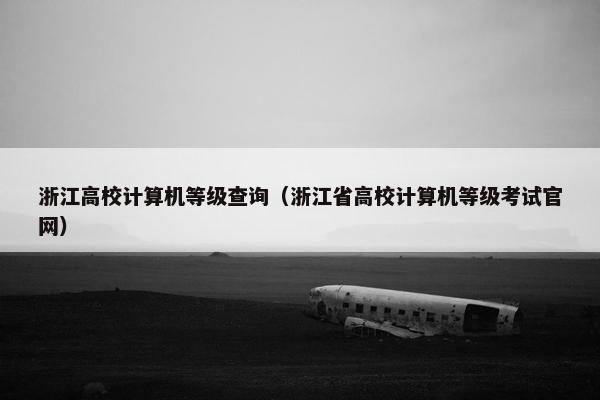 浙江高校计算机等级查询（浙江省高校计算机等级考试官网）