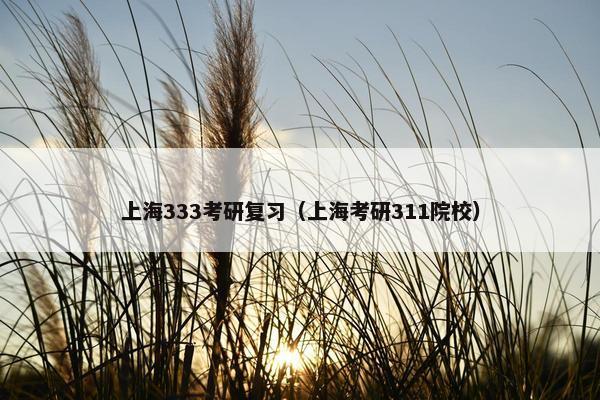 上海333考研复习(上海考研311院校) 上海333考研复习(上海考研311院校)