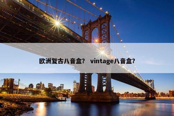 欧洲复古八音盒？ vintage八音盒？