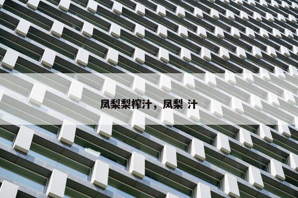 凤梨梨榨汁，凤梨 汁