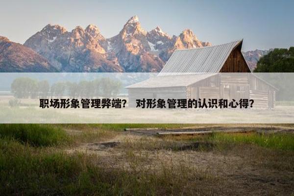 职场形象管理弊端？ 对形象管理的认识和心得？