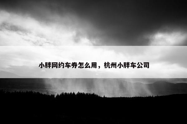 小胖网约车券怎么用，杭州小胖车公司