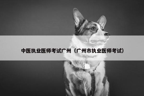 中医执业医师考试广州（广州市执业医师考试）