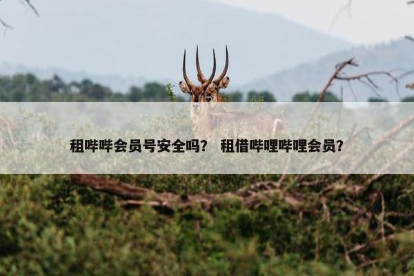租哔哔会员号安全吗? 租借哔哩哔哩会员? 租哔哔会员号安全吗? 租借哔哩哔哩会员?