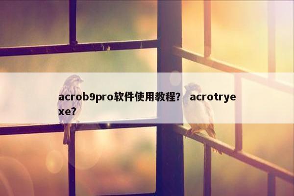 acrob9pro软件使用教程? acrotryexe? acrob9pro软件使用教程? acrotryexe?
