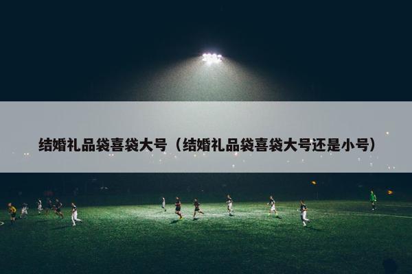 结婚礼品袋喜袋大号（结婚礼品袋喜袋大号还是小号）