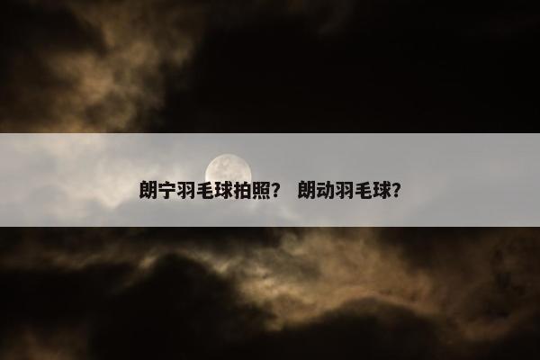 朗宁羽毛球拍照？ 朗动羽毛球？