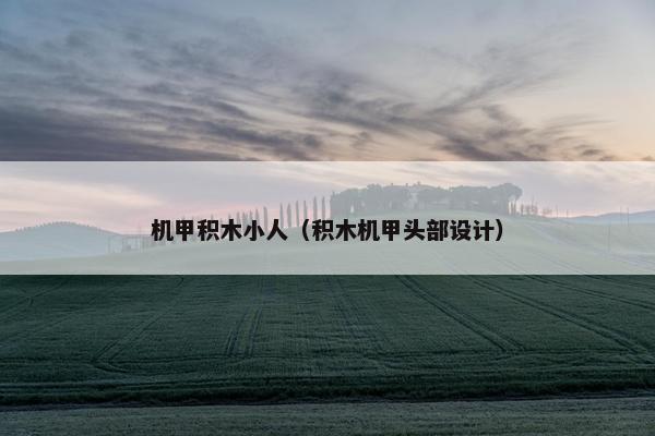 机甲积木小人（积木机甲头部设计）