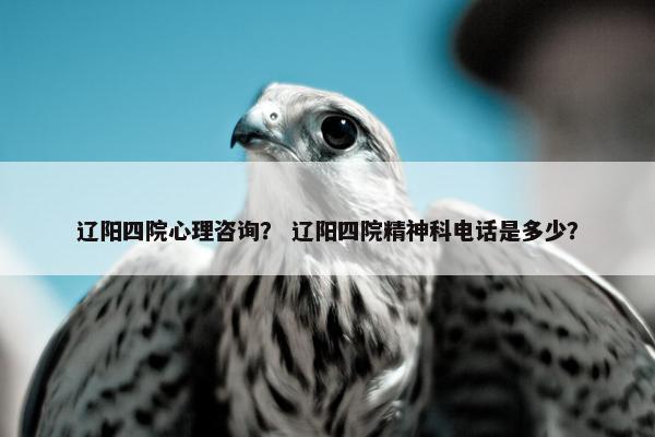 辽阳四院心理咨询? 辽阳四院精神科电话是多少? 辽阳四院心理咨询? 辽阳四院精神科电话是多少?