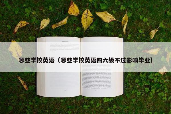 哪些学校英语（哪些学校英语四六级不过影响毕业）