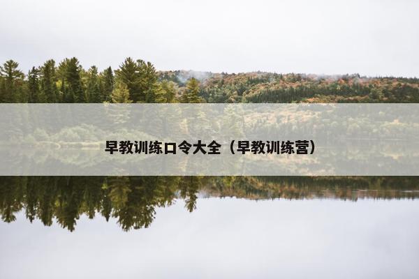 早教训练口令大全(早教训练营) 早教训练口令大全(早教训练营)