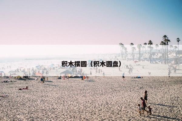 积木摆圆(积木圆盘) 积木摆圆(积木圆盘)