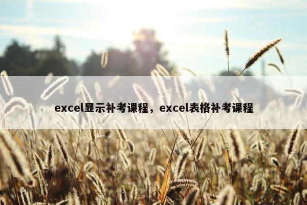 excel显示补考课程,excel表格补考课程 excel显示补考课程,excel表格补考课程
