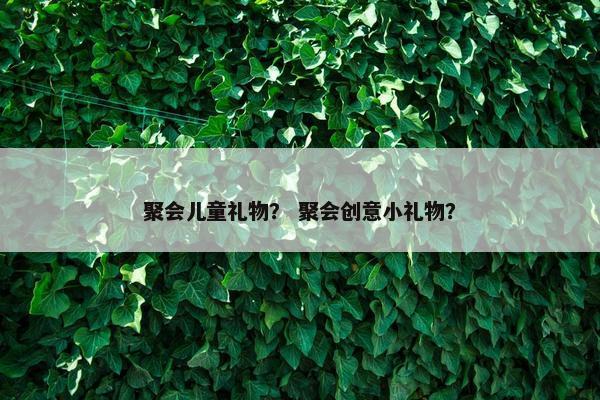 聚会儿童礼物？ 聚会创意小礼物？