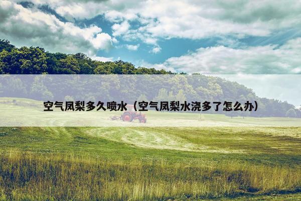 空气凤梨多久喷水(空气凤梨水浇多了怎么办) 空气凤梨多久喷水(空气凤梨水浇多了怎么办)