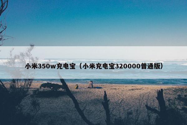 小米350w充电宝（小米充电宝320000普通版）
