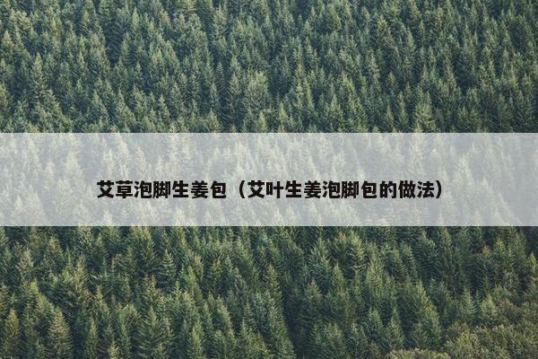 艾草泡脚生姜包（艾叶生姜泡脚包的做法）