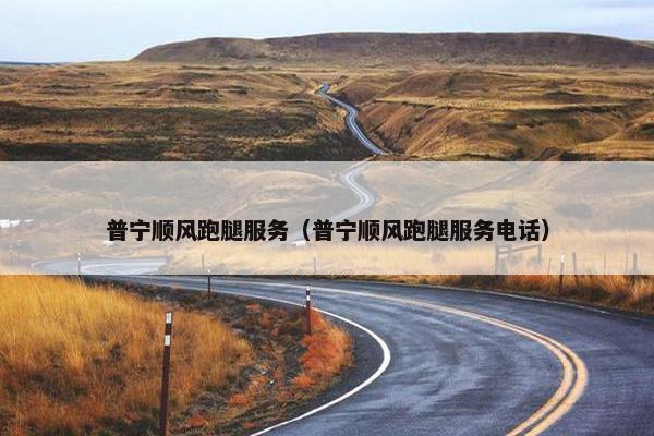 普宁顺风跑腿服务（普宁顺风跑腿服务电话）