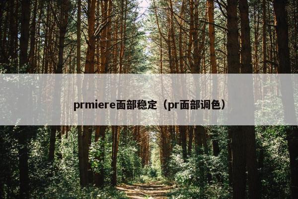 prmiere面部稳定（pr面部调色）