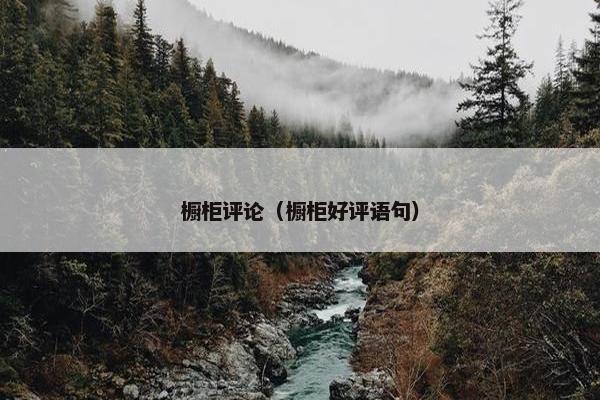 橱柜评论(橱柜好评语句) 橱柜评论(橱柜好评语句)