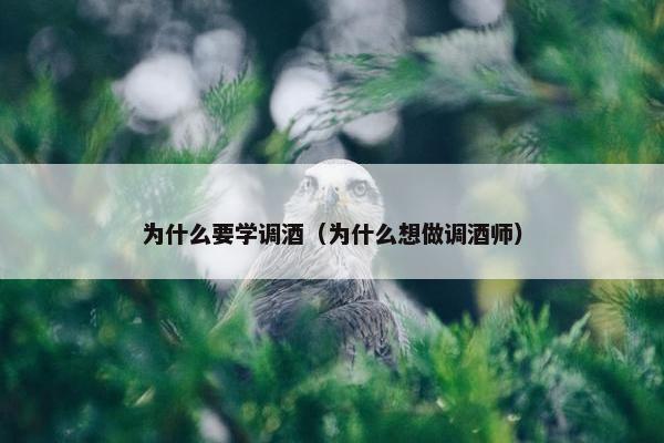 为什么要学调酒(为什么想做调酒师) 为什么要学调酒(为什么想做调酒师)