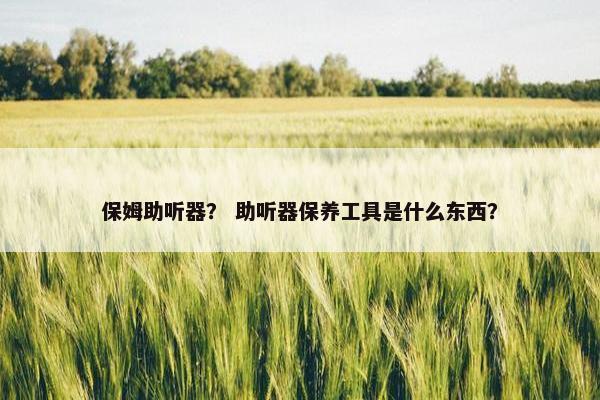保姆助听器？ 助听器保养工具是什么东西？