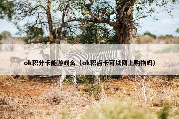ok积分卡能游戏么(ok积点卡可以网上购物吗) ok积分卡能游戏么(ok积点卡可以网上购物吗)