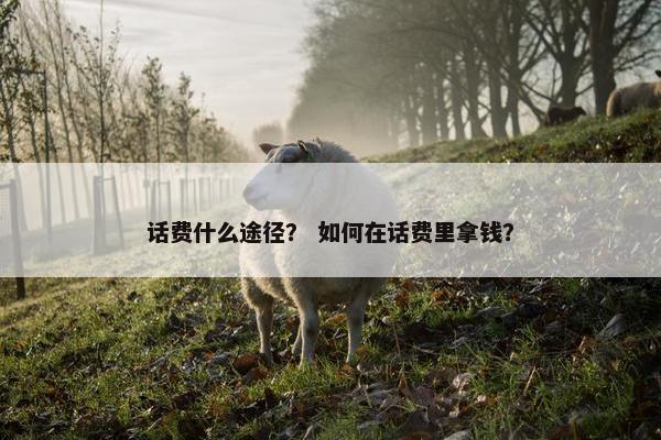 话费什么途径？ 如何在话费里拿钱？