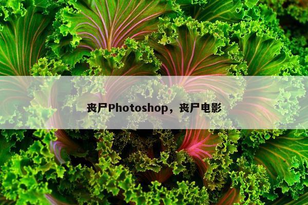 丧尸Photoshop,丧尸电影 丧尸Photoshop,丧尸电影