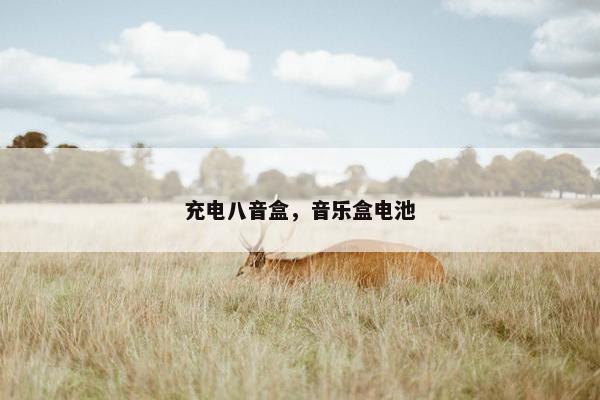 充电八音盒,音乐盒电池 充电八音盒,音乐盒电池